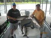 (07/05/2014) - Nice Striped Bass